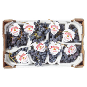 Druiven Blauw Palieri