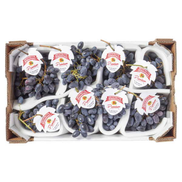 Druiven Blauw Palieri