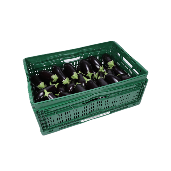 Aubergine (10 kg)