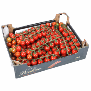 cherry trostomaten 3 kg