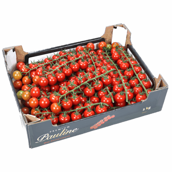 cherry trostomaten 3 kg