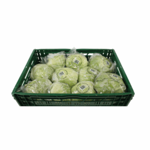 ijsbergsla 5 kg
