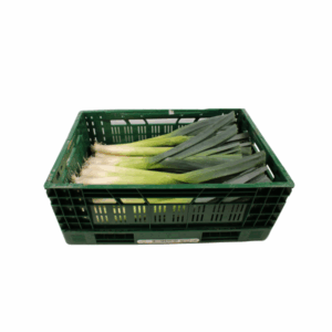 Prei (10 kg)