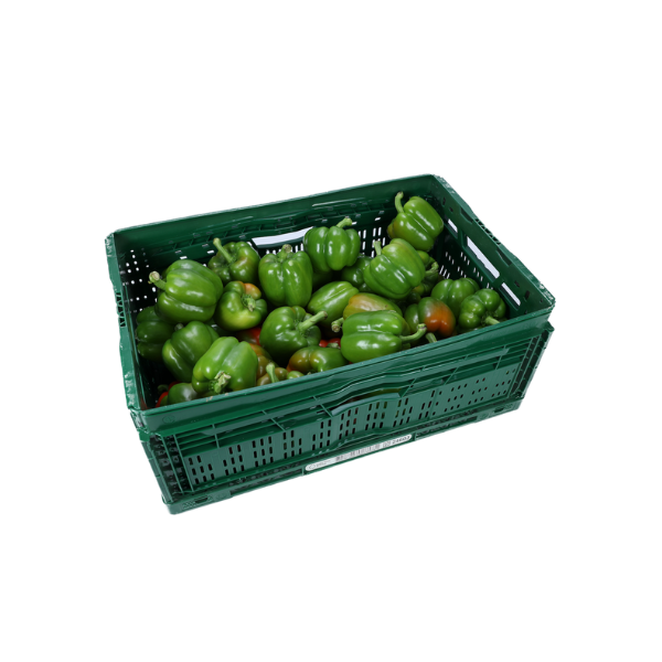 paprika groen 10 kg