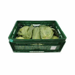 Spitskool (10 kg)
