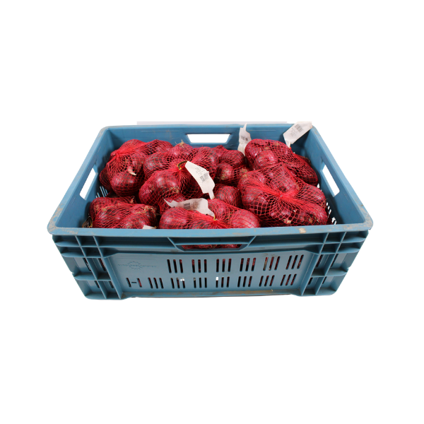 Uien Rood (10 kg)