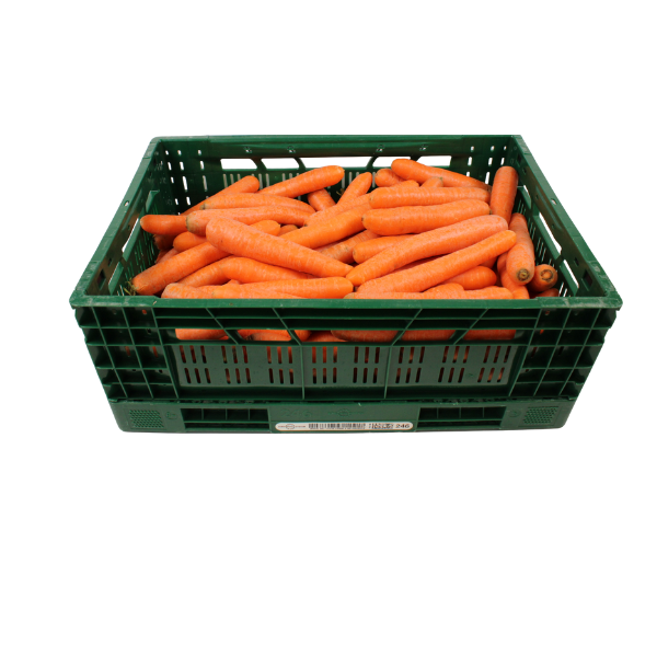 Winterpeen (20 kg)