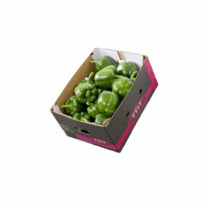 paprika groen 5 kg