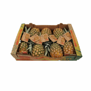 Ananas 11 Kg
