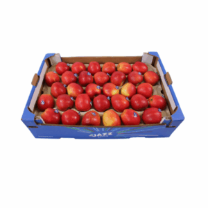 Appel Red Delicious