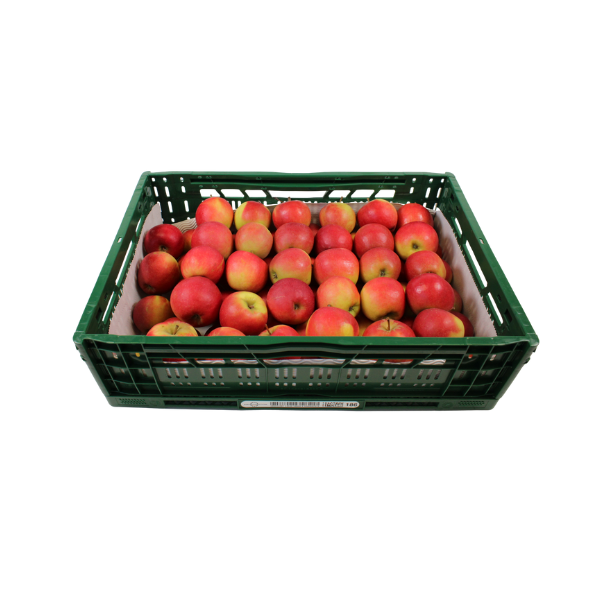 Appel Royal Gala