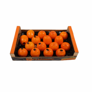 Kaki Persimon 4,5 Kg