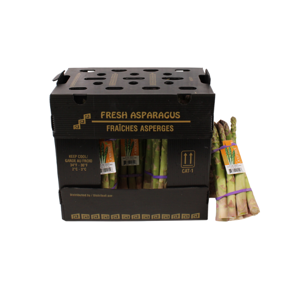 Asperge Groen (11x450 gr)