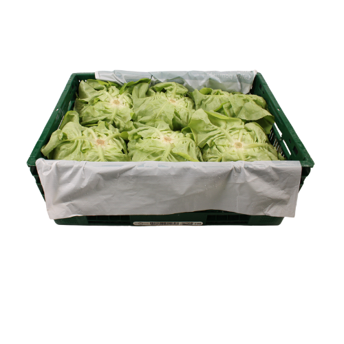 SLA KROPSLA X12 STUKS