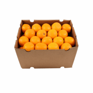 SINASAPPELEN SALUSTIANA MAAT 88