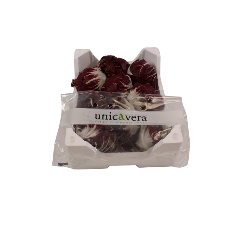 RODESLA RADICCHIO ROSSO 1X9 STUKS