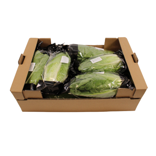 ROMIJN SLA FLOW 10 STUKS