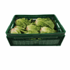 ROMIJNSE SLA 8/10 STUKS