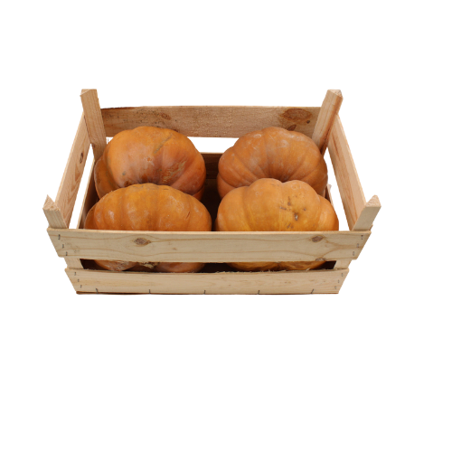 POMPOEN MUSCAAT 13 KG 3/4 STUKS