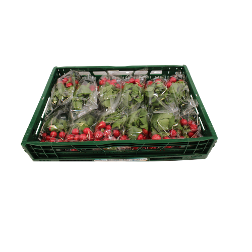 RADIJS X 12 FLOWPACK