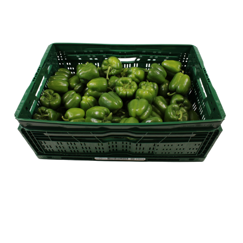 PAPRIKA GROEN 10 KG