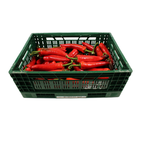 PAPRIKA CORNO ROOD 8 KG