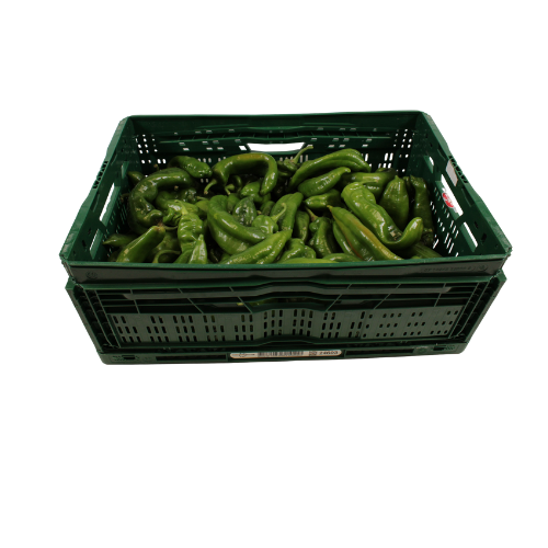 PAPRIKA CORNO GROEN 8 KG