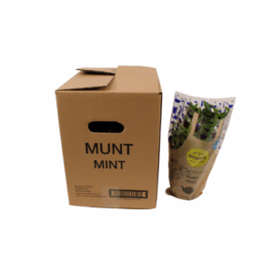 MUNT IN POT X4 STUKS