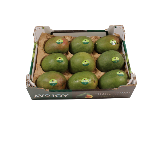 MANGO 9 STUKS READY TO EAT