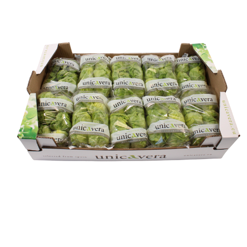 LITTLE GEM 10X6 FLOWPACK