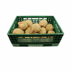 KNOLSELDERIJ NAAKT 10 STUKS 15 KG