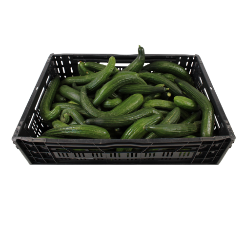 KOMKOMMER FIJNSTEK 12 KG