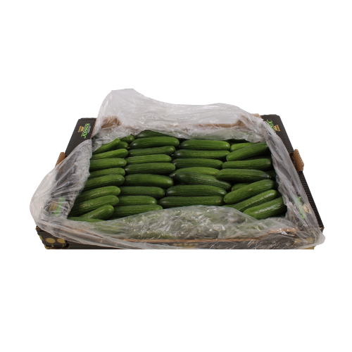 KOMKOMMER MINI 9 KG