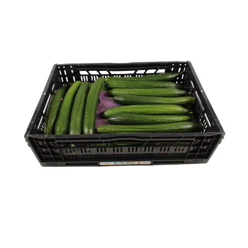 KOMKOMMER NAAKT 36 STUKS