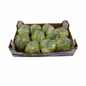 IJSBERGSLA 1X10 STUKS