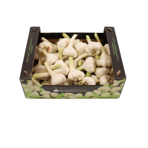 KNOFLOOK BEEMSTER VERS 5 KG