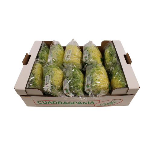 FRISEE VERPAKT OP SCHAAL X 10 STUKS