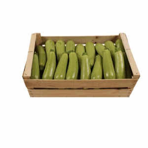 COURGETTE WIT 11 KG