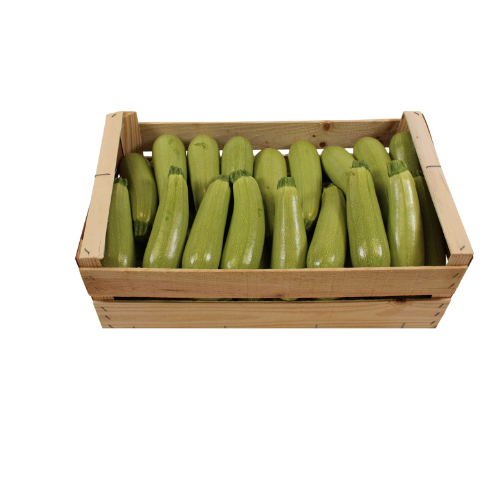 COURGETTE WIT 11 KG