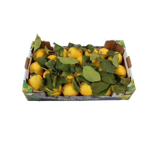 CITROENEN ALMALVI 6 KG