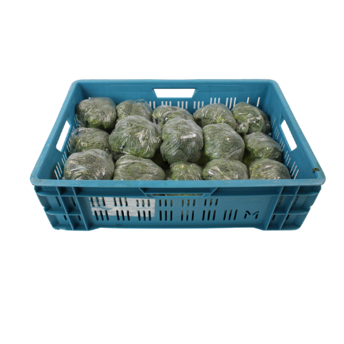 BROCCOLI 6 KG 15 STUKS
