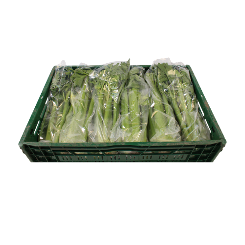 BLEEKSELDERIJ 12 STUKS