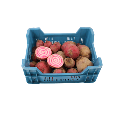 BIETEN SHIOGGIA 5 KG