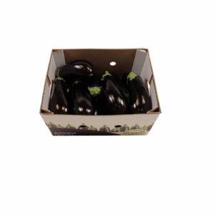AUBERGINE 5 KG