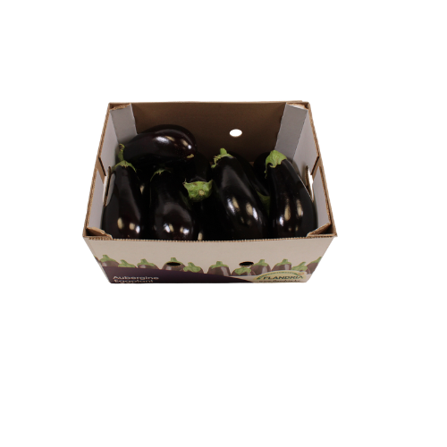 AUBERGINE 5 KG