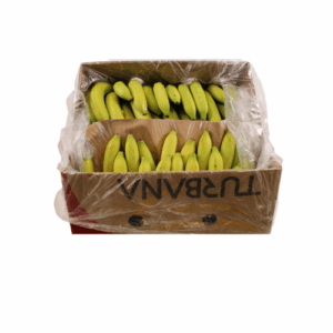 BANANEN TURBANA 18 KG