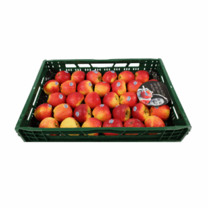 APPELS KANZI 7 KG