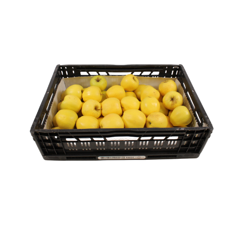 APPELS GOLDEN DELICIOUS MAAT 80/90 11 KG