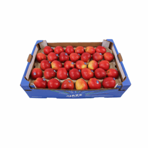 APPELS JAZZ MAAT 63 13 KG