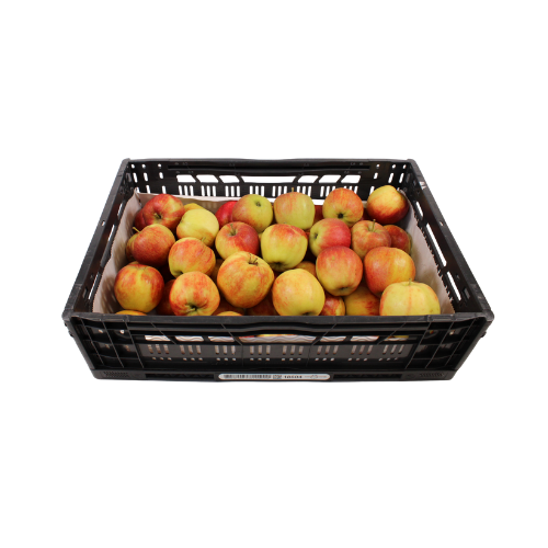 APPELS JONAGOLD MAAT 70/80 11 KG